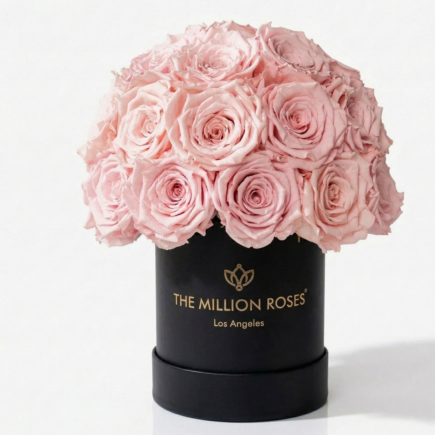 Essence Black Superdome Box | Light Pink Roses