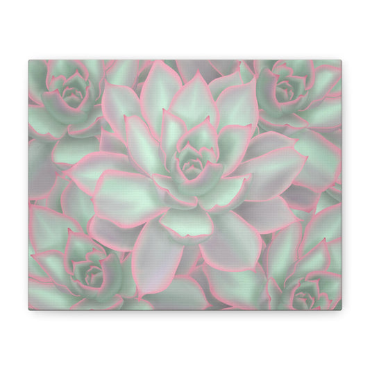 Echeveria Violet Queen Succulent Pattern Canvas Print – Botanical Wall Art
