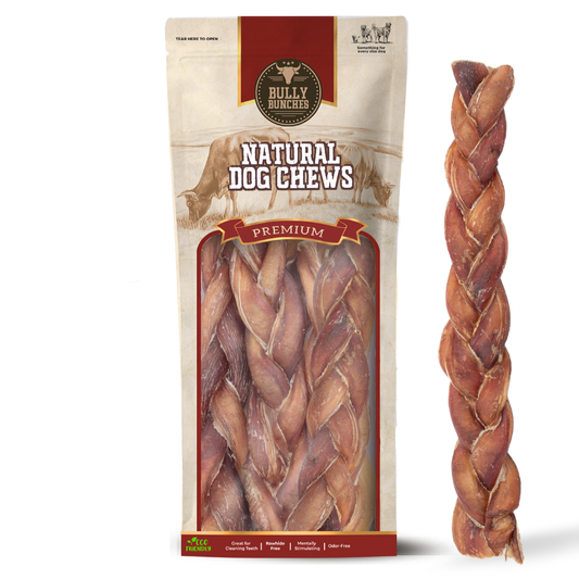 12 Inch Jumbo Braided Bully Stick