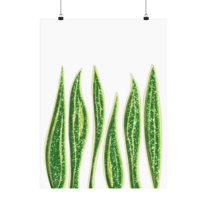 Snake Plant Botanical Print – Unframed Wall Art
