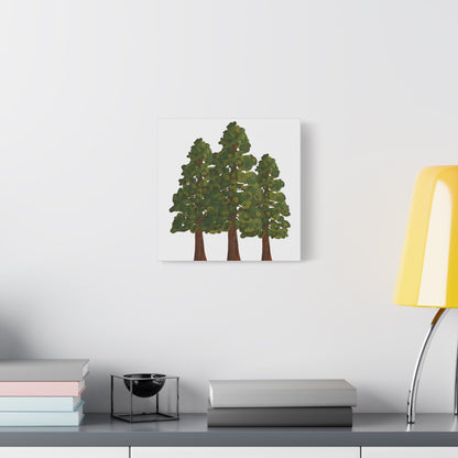 Coastal Redwood Canvas Print – Wall Art