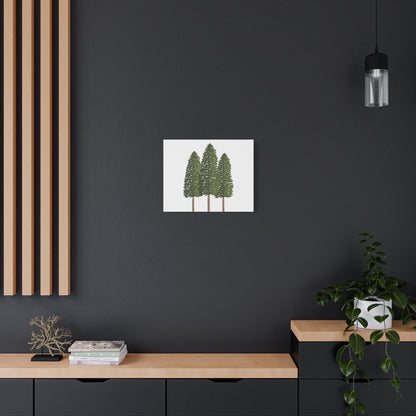 Three Ponderosa Pine Canvas Wall Art Matte Stretched Print Minimalist Forest Landscape Decor