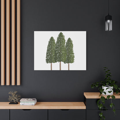 Three Ponderosa Pine Canvas Wall Art Matte Stretched Print Minimalist Forest Landscape Decor