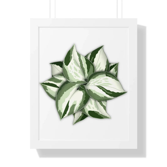 Manjula Pothos Framed Print – Botanical Wall Art
