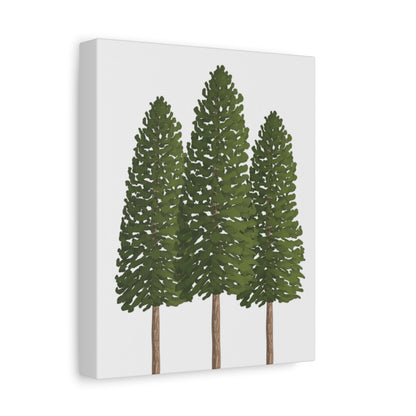 Three Ponderosa Pine Canvas Wall Art Matte Stretched Print Minimalist Forest Landscape Decor