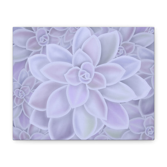 Graptopetalum Murasaki Succulent Pattern Canvas Print – Botanical Wall Art