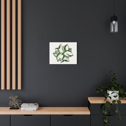 Manjula Pothos Canvas Print – Botanical Wall Art