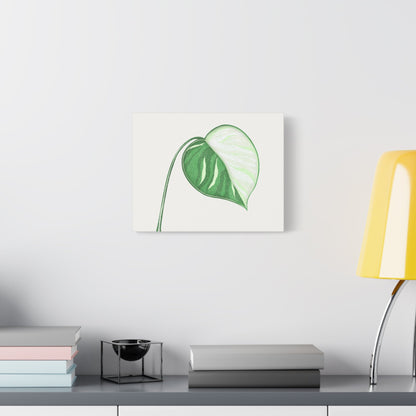 Monstera Albo Canvas Print – Botanical Wall Art