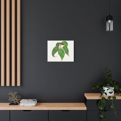 Aglaonema Sparkling Sarah Canvas Print – Botanical Wall Art