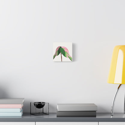Pink Princess Philodendron Canvas Print – Botanical Wall Art