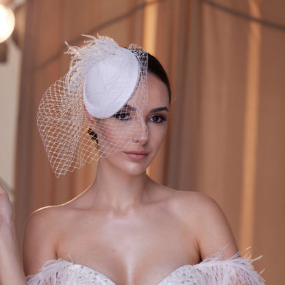 Birdcage Veil with Feathers