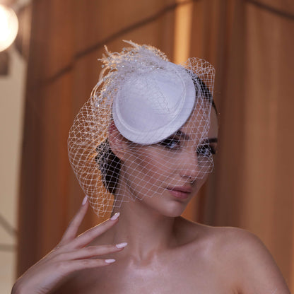 Birdcage Veil with Feathers