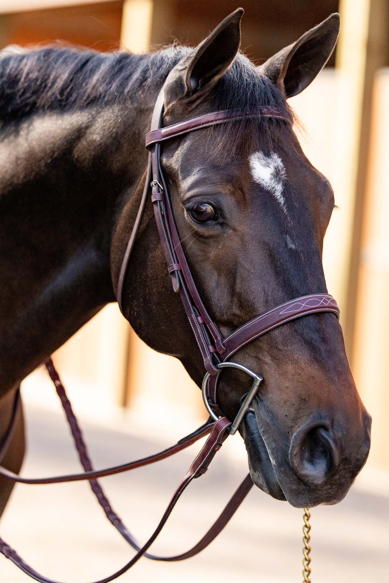 Huntley Equestrian Fancy Stitched Schooling Laced Reins