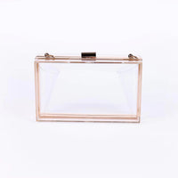 Clear Acrylic Purse