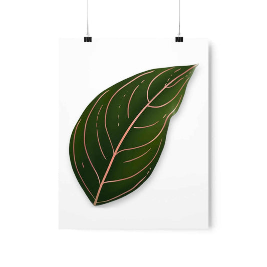 Aglaonema Rotundum Botanical Print – Unframed Wall Art