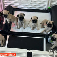 BrilliantPad Professional for Breeders