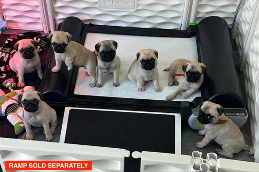 BrilliantPad Professional for Breeders