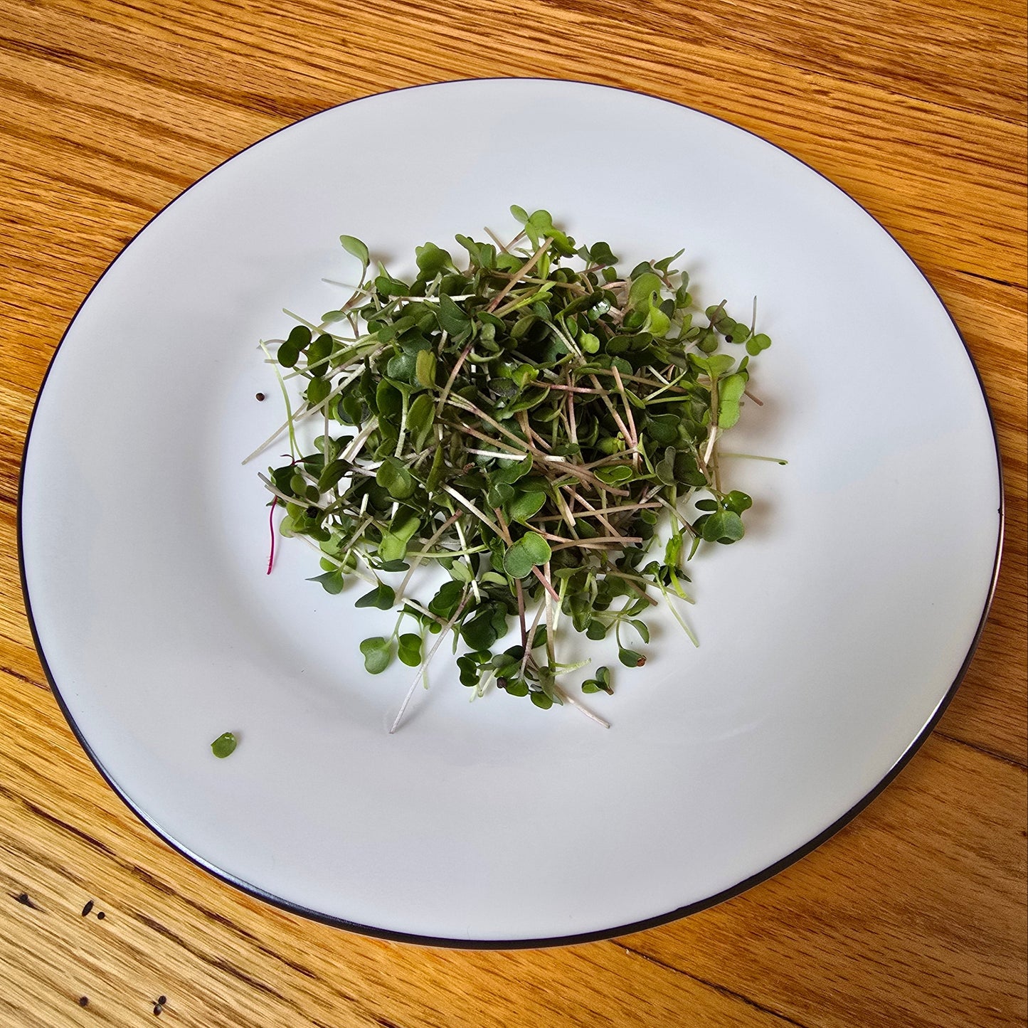 Kale (Kalefetti Mix)