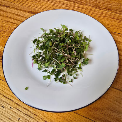 Kale (Kalefetti Mix)