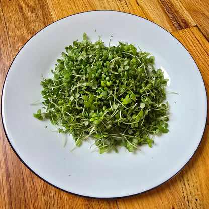Basil (Lemon)