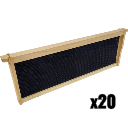 Medium 6 1/4-Inch Frame, Grooved Top / Grooved Bottom With Double Wax Foundation