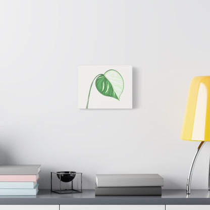 Monstera Albo Canvas Print – Botanical Wall Art