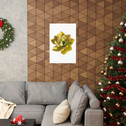 Noble Aeonium Succulent Botanical Print – Unframed Wall Art