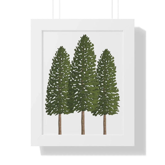 Ponderosa Pine Framed Print – Wall Art