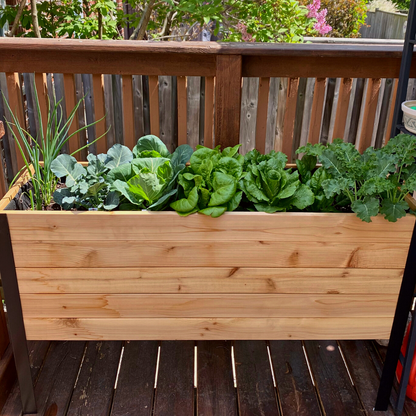 18" x 48" Raised Garden Bed - 30" TALL / Select Grade