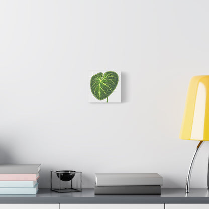 Philodendron Gloriosum Canvas Print – Botanical Wall Art