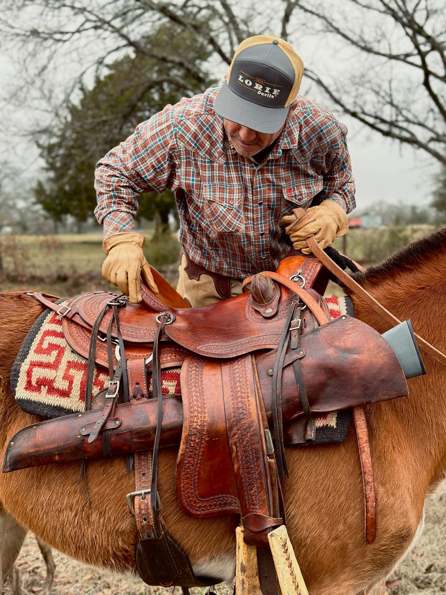 Lorie Darlin’