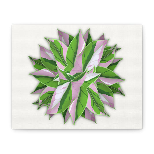 Syngonium Tricolor Pattern Canvas Print – Botanical Wall Art