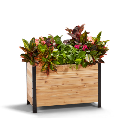 18" x 36" Planter Box - 24" TALL / Select Grade