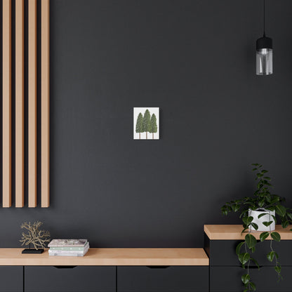 Three Ponderosa Pine Canvas Wall Art Matte Stretched Print Minimalist Forest Landscape Decor