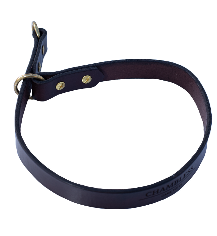 Durham Dog Training Flank Collar