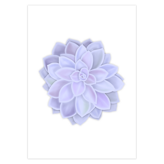 Graptopetalum Murasaki Succulent Greeting Card – Blank Inside With Envelope