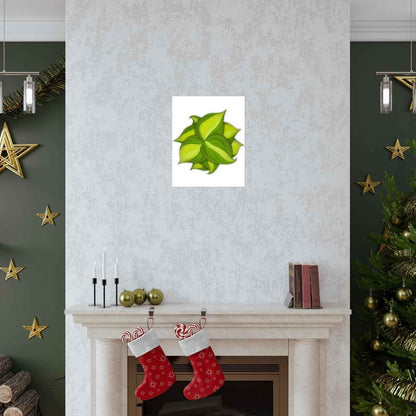 Philodendron Brasil Botanical Print – Unframed Wall Art