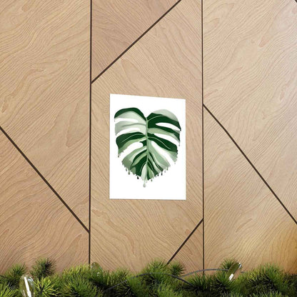Melting Monstera Albo Botanical Print – Unframed Wall Art