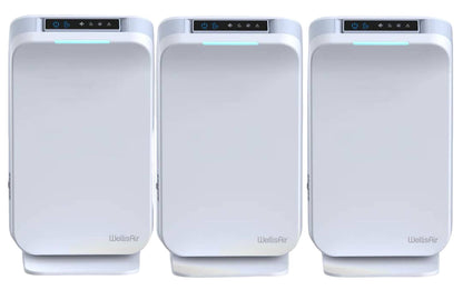 WellisAir Whole Home Revitalization Multi-Unit Bundle