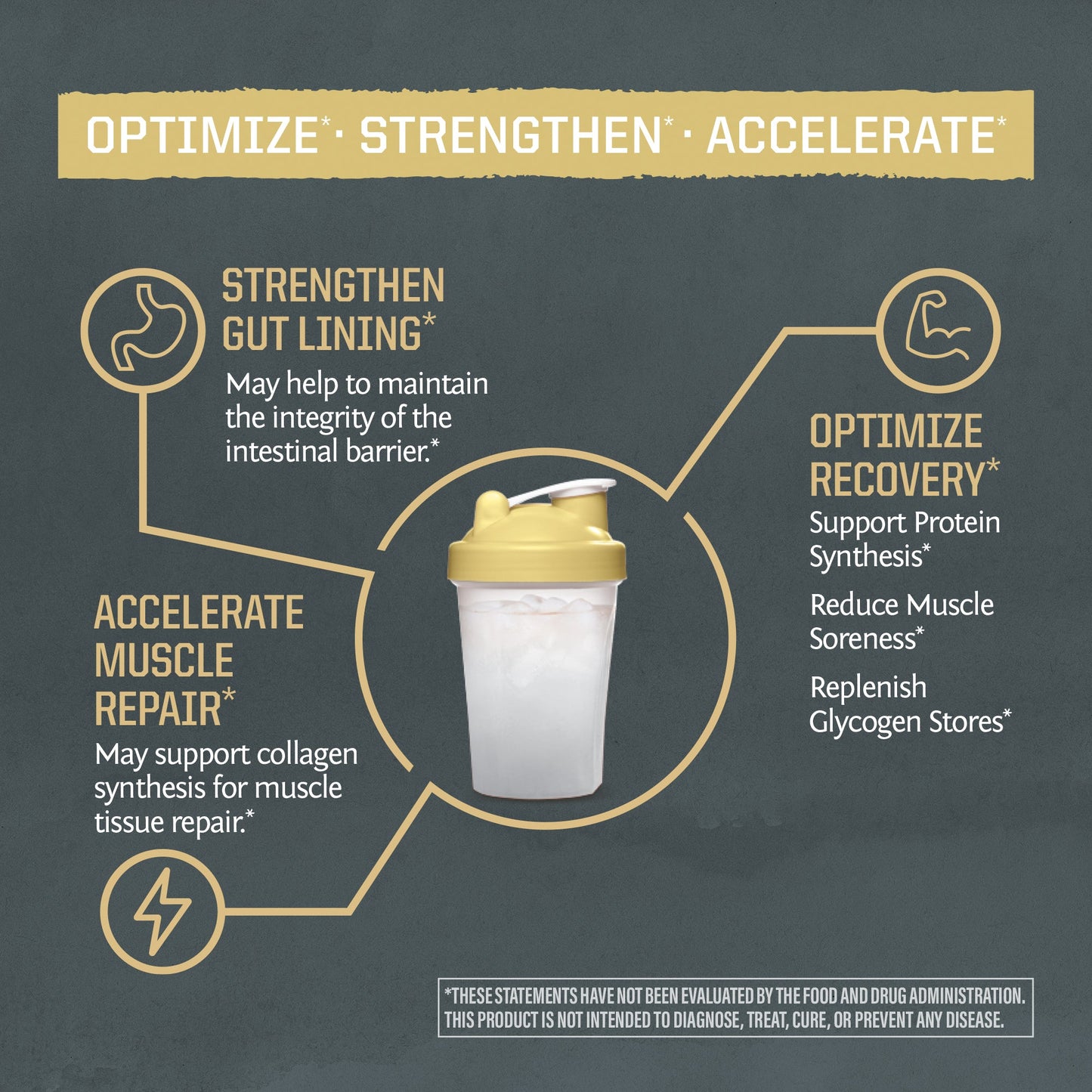 Active Glutamine