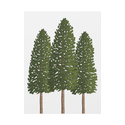 Three Ponderosa Pine Canvas Wall Art Matte Stretched Print Minimalist Forest Landscape Decor