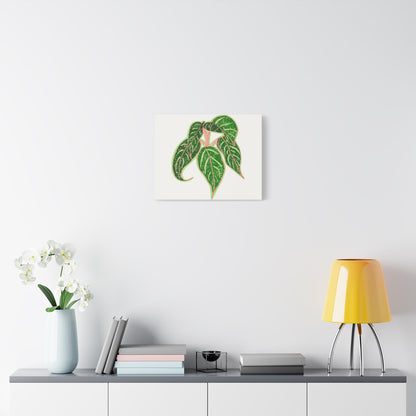 Aglaonema Sparkling Sarah Canvas Print – Botanical Wall Art