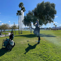 Revolution Carolina Team V3 Disc Golf Bag - Forest