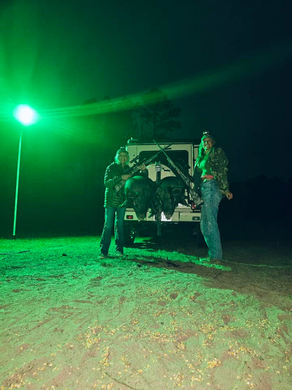 Solar Green Feeder Light for Hunting -12,000 lumens