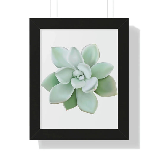 Pachyveria Haagei Succulent Framed Print – Botanical Wall Art