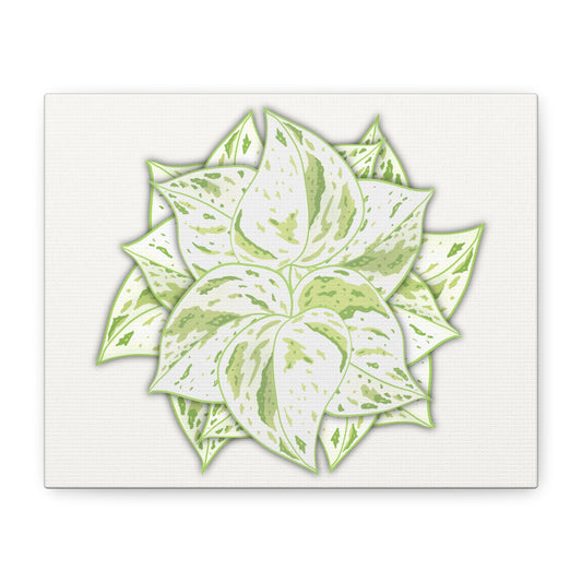 Snow Queen Pothos Canvas Print – Botanical Wall Art