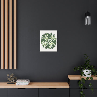 Calathea White Fusion Canvas Print – Botanical Wall Art