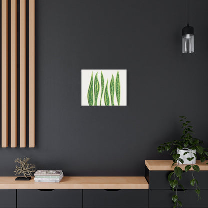 Snake Plant Canvas Print – Botanical Wall Art