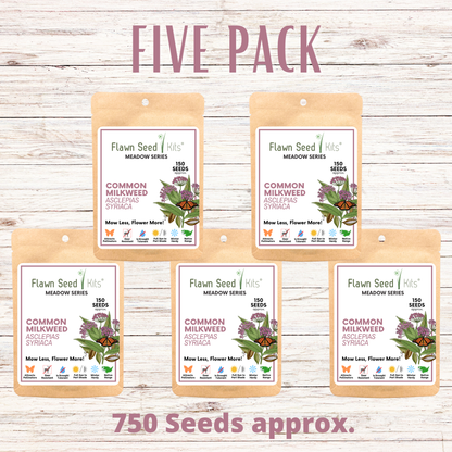 Common Milkweed Seed Pouch