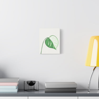 Monstera Albo Canvas Print – Botanical Wall Art
